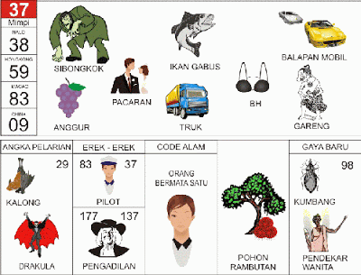 buku mimpi erek erek togel 37